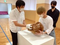 鳥取県立博物館と連携し、授業で「対話型鑑賞」を体験しました